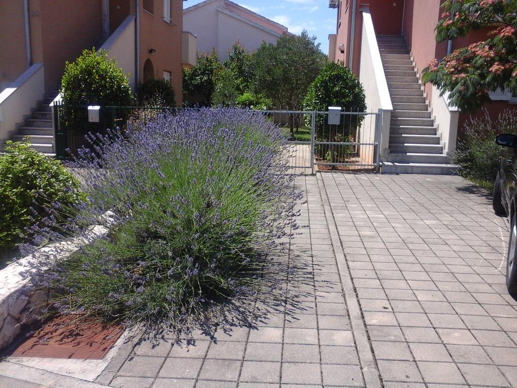 Apartments Danica Vodice Eksteriør bilde